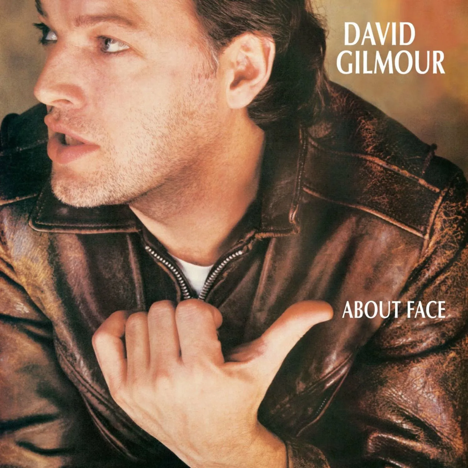 Imagem da capa do álbum About Face de David Gilmour