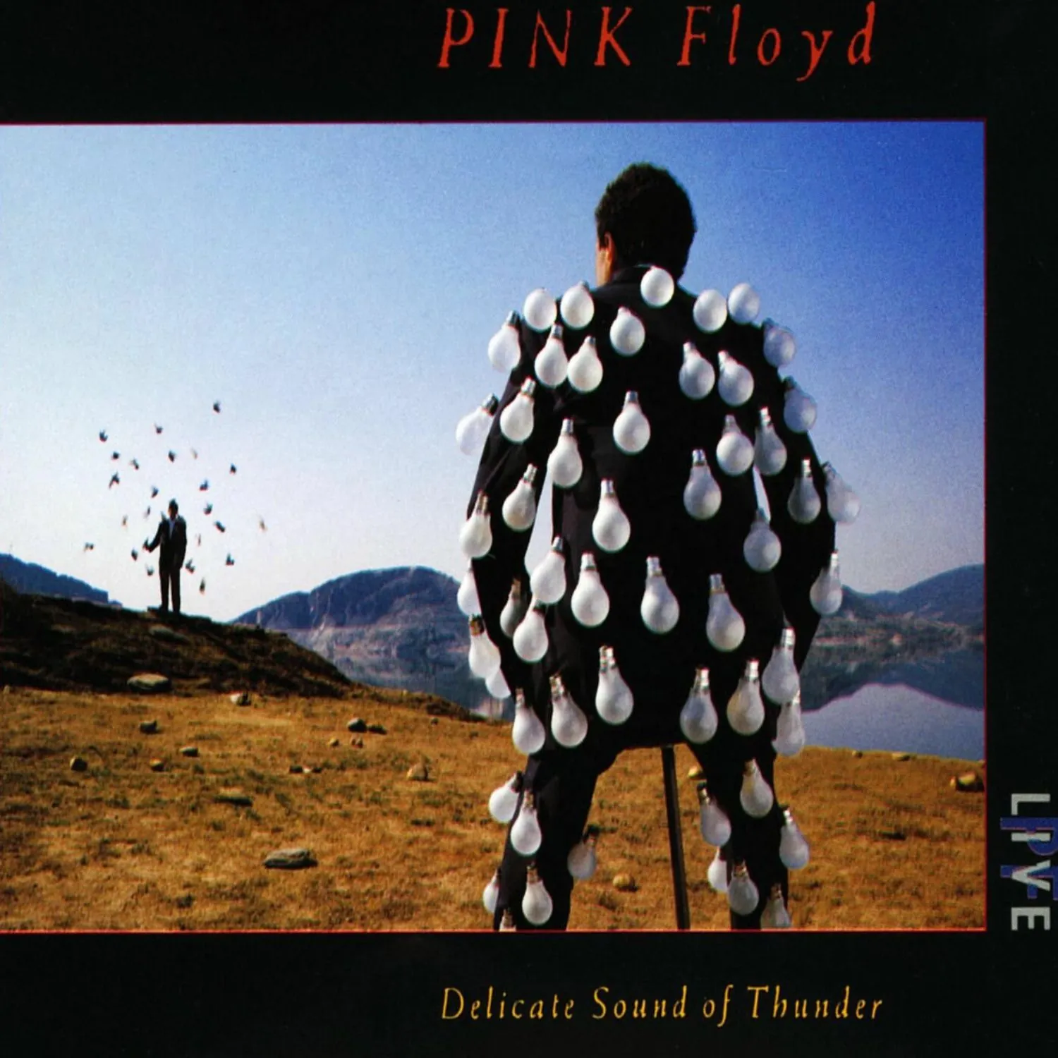 Imagem da capa do álbum Delicate Sound of Thunder (Live) de Pink Floyd