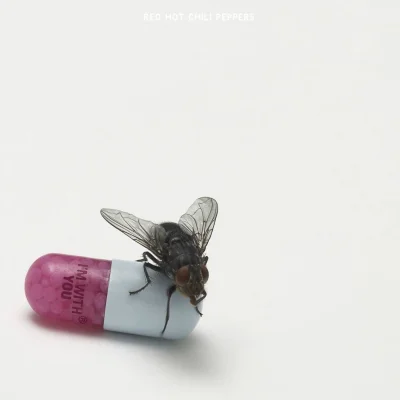 Imagem da capa do álbum I'm With You do Red Hot Chili Peppers