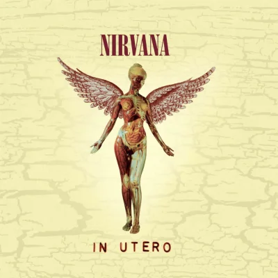 Imagem da capa do álbum In Utero do Nirvana