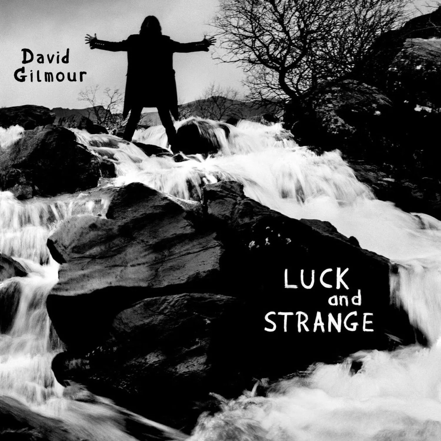 Imagem da capa do álbum Luck and Strange de David Gilmour