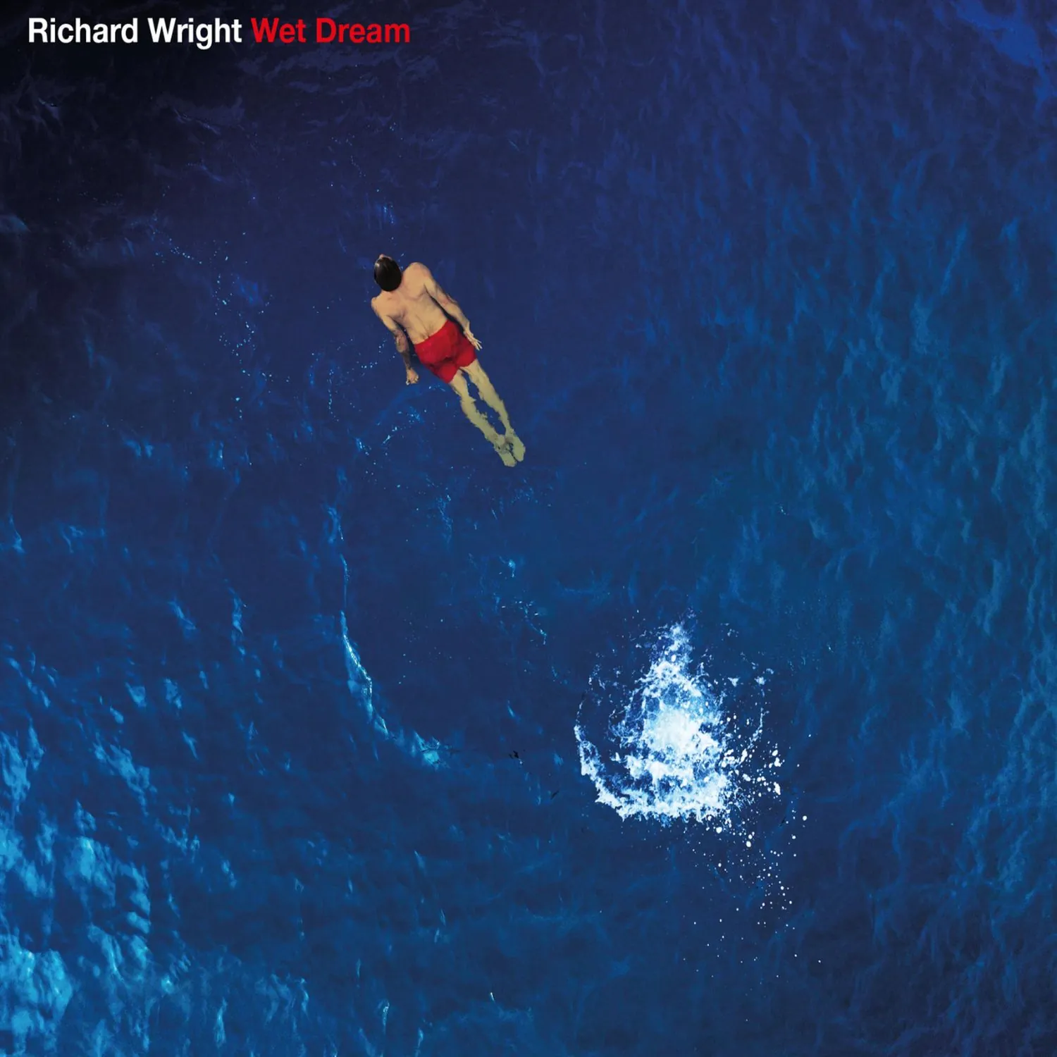 Imagem da capa do álbum Wet Dream de Richard Wright
